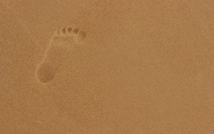 песок, пляж, след, отпечаток, sand, beach, trail, imprint