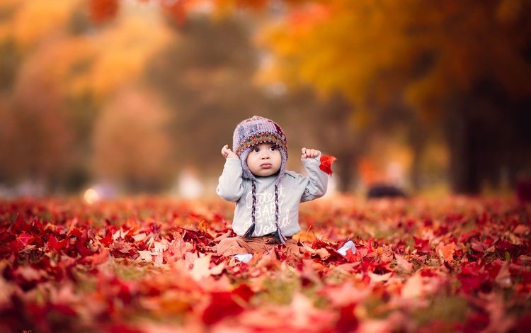природа, листья, осень, дети, игра, ребенок, шапка, малыш, nature, leaves, autumn, children, the game, child, hat, baby