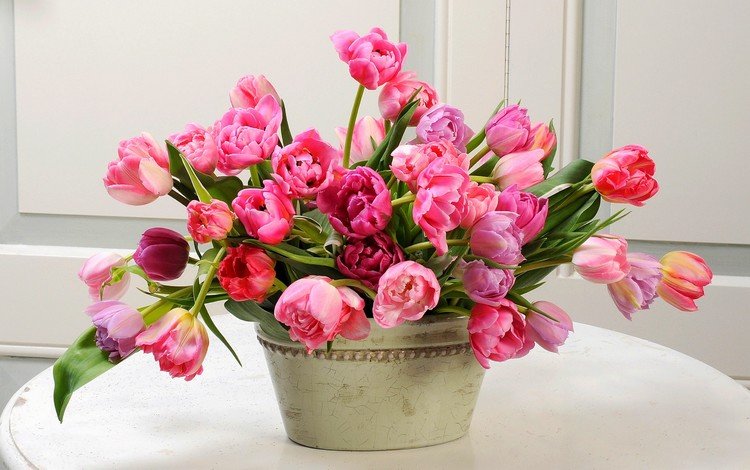 цветы, букет, тюльпаны, flowers, bouquet, tulips