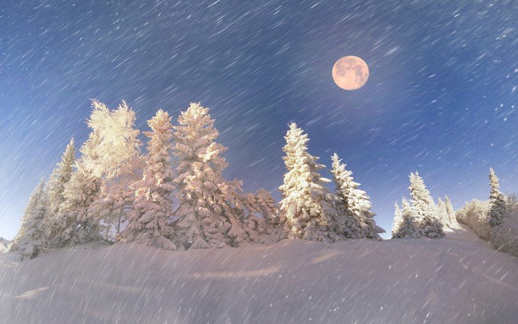 небо, снегопад, деревья, снег, природа, лес, зима, снежинки, луна, the sky, snowfall, trees, snow, nature, forest, winter, snowflakes, the moon