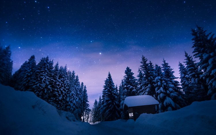небо, снегопад, деревья, снег, лес, зима, звезды, сосны, домик, the sky, snowfall, trees, snow, forest, winter, stars, pine, house