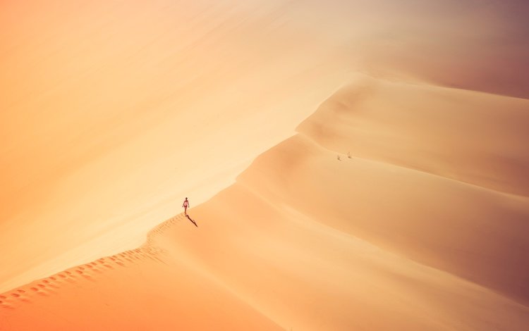 девушка, песок, пустыня, одиночество, следы, солнечный свет, girl, sand, desert, loneliness, traces, sunlight