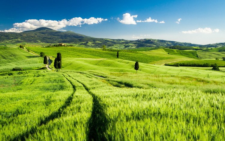 небо, трава, облака, холмы, пейзаж, поле, италия, тоскана, the sky, grass, clouds, hills, landscape, field, italy, tuscany
