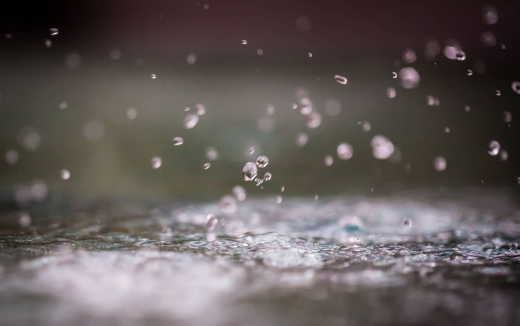 вода, макро, капли, дождь, silvrshootr, water, macro, drops, rain