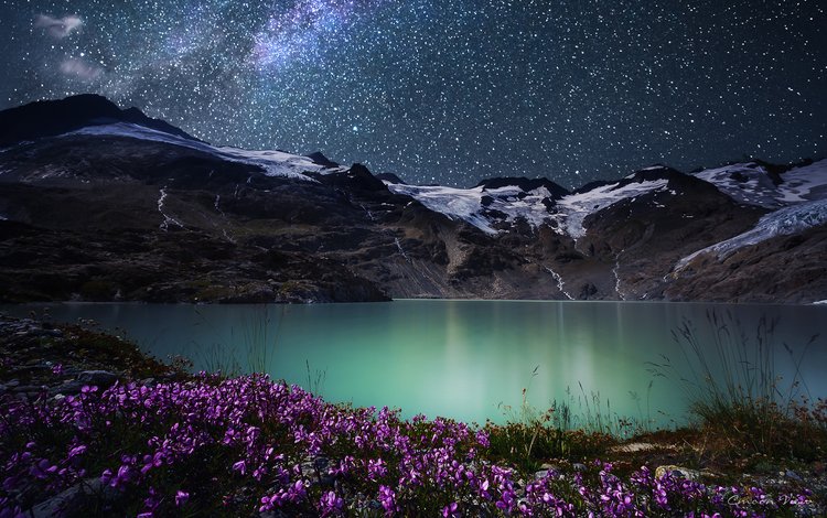 цветы, ночь, озеро, горы, природа, звезды, simone cmoon, flowers, night, lake, mountains, nature, stars