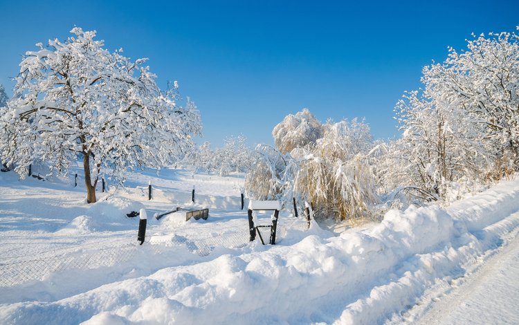 небо, деревья, снег, природа, зима, сугробы, matej paluh, the sky, trees, snow, nature, winter, the snow