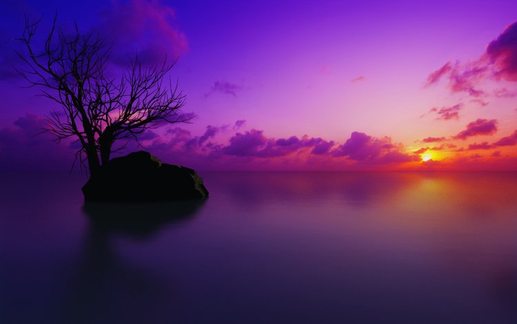небо, облака, вода, дерево, закат, камень, мальдивы, the sky, clouds, water, tree, sunset, stone, the maldives