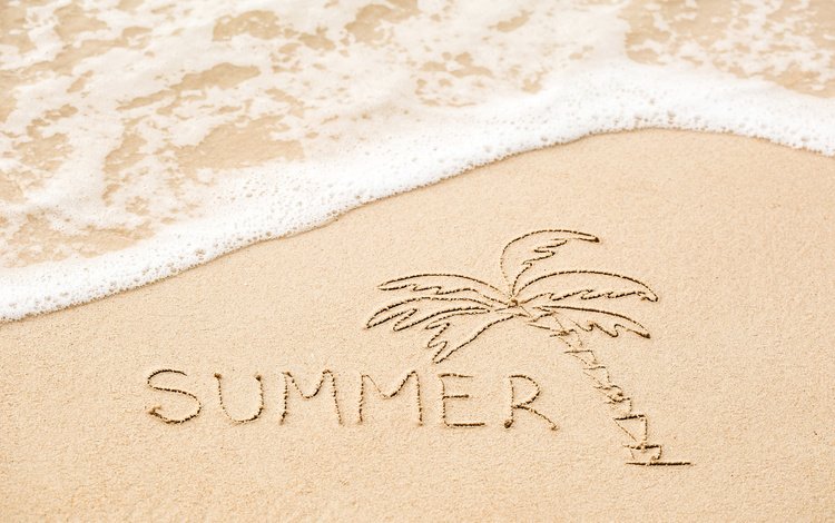 море, песок, пляж, лето, надпись, пальма, sea, sand, beach, summer, the inscription, palma