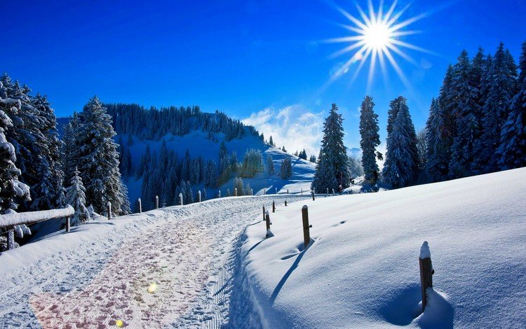 небо, следы, дорога, сугробы, деревья, солнечный день, солнце, снег, природа, зима, сосны, the sky, traces, road, the snow, sunny day, trees, the sun, snow, nature, winter, pine