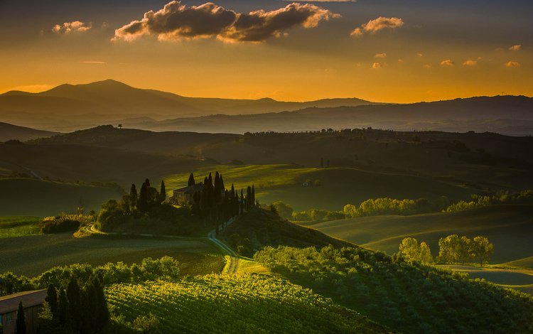 горы, холмы, пейзаж, сад, дом, италия, виноградник, тоскана, mountains, hills, landscape, garden, house, italy, vineyard, tuscany