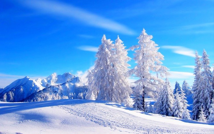 небо, облака, деревья, горы, снег, зима, иней, the sky, clouds, trees, mountains, snow, winter, frost