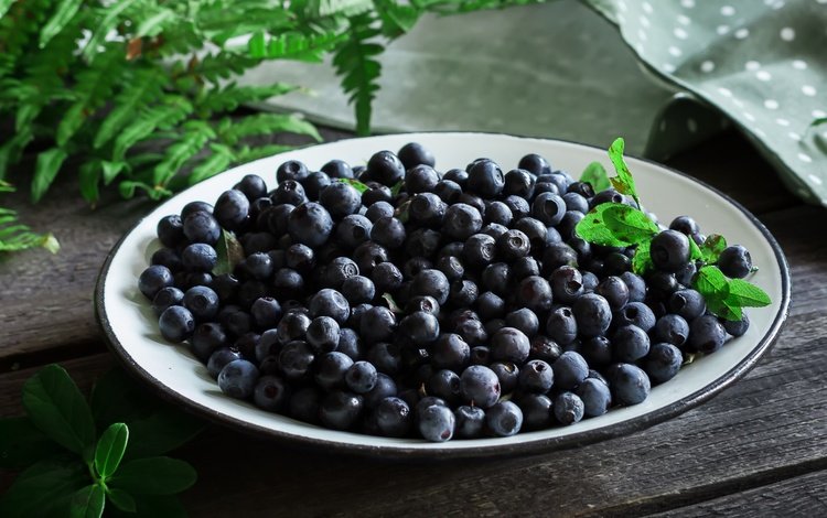 ягоды, черника, папоротник, тарелка, berries, blueberries, fern, plate