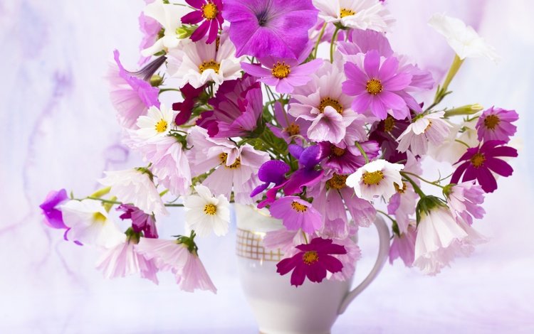 цветы, лепестки, букет, ваза, космея, петунья, flowers, petals, bouquet, vase, kosmeya, petunia