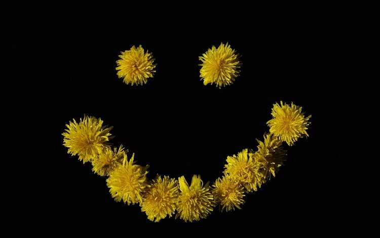 цветок, улыбка, черный фон, одуванчики, смайлик, желтые цветы, flower, smile, black background, dandelions, smiley, yellow flowers