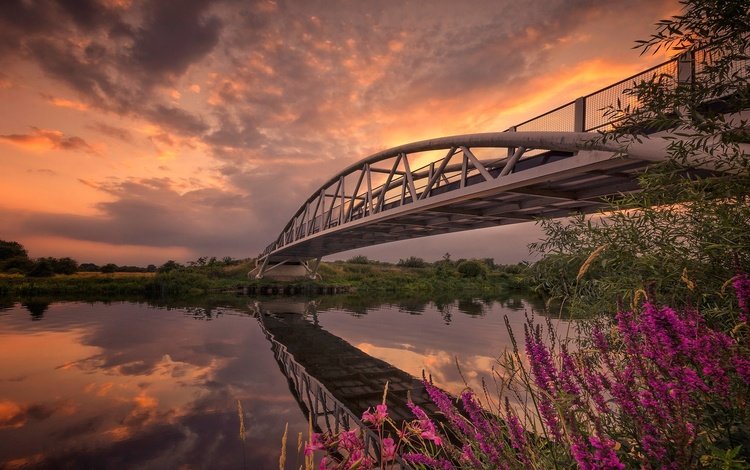 небо, цветы, облака, река, отражение, мост, the sky, flowers, clouds, river, reflection, bridge
