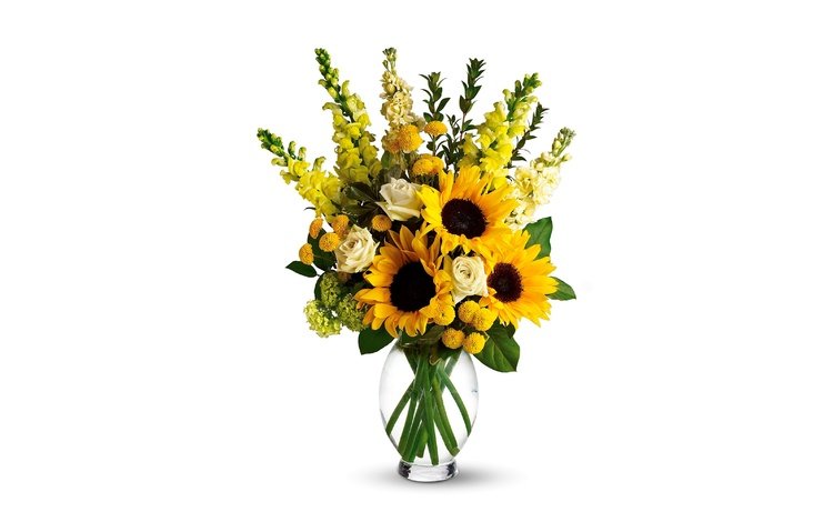 цветы, розы, букет, подсолнухи, белый фон, ваза, желтые, львиный зев, flowers, roses, bouquet, sunflowers, white background, vase, yellow, snapdragons