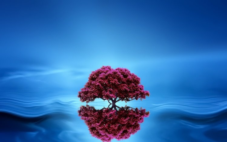 дерево, отражение, фон, волна, tree, reflection, background, wave