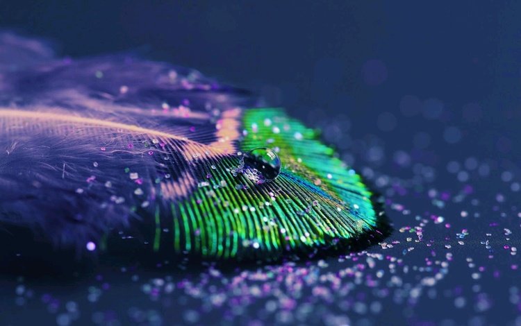фон, капля, перо, перышко, перо павлина, background, drop, pen, a feather, peacock feather