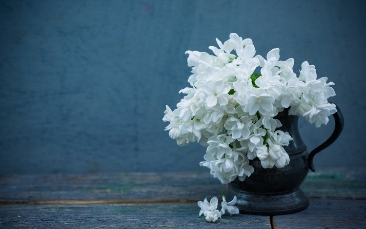 цветы, фон, лепестки, кувшин, сирень, белая сирень, flowers, background, petals, pitcher, lilac, white lilac