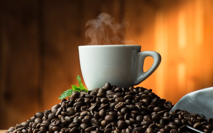 фон, зерна, кофе, чашка, пар, кофейные зерна, совок, background, grain, coffee, cup, couples, coffee beans, scoop