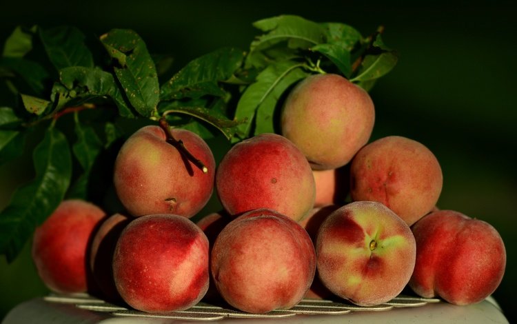 фрукты, урожай, плоды, персики, fruit, harvest, peaches