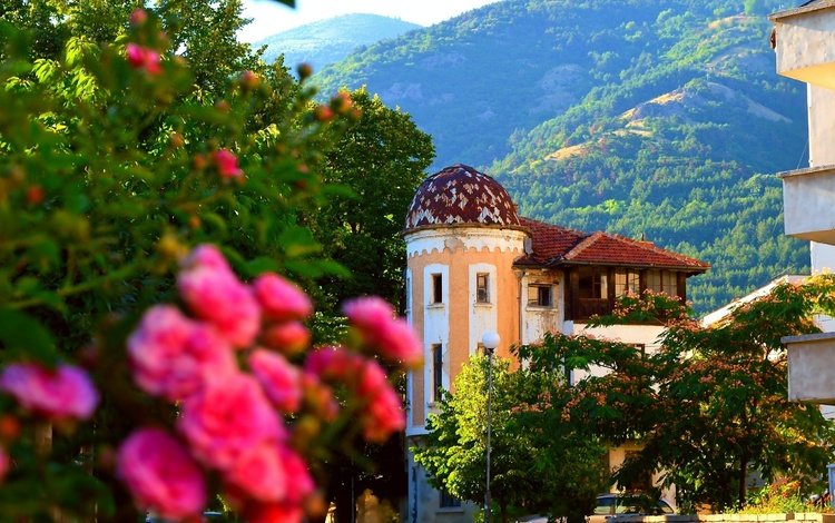 горы, природа, розы, здания, старый дом, mountains, nature, roses, building, old house