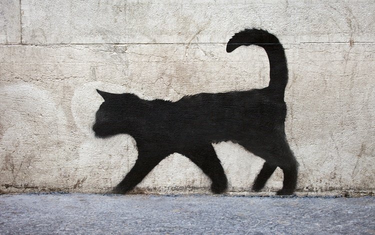текстура, стена, граффити, поверхность, кирпичная, черный кот, texture, wall, graffiti, surface, brick, black cat