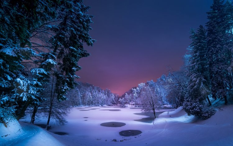 ночь, деревья, снег, природа, лес, зима, night, trees, snow, nature, forest, winter
