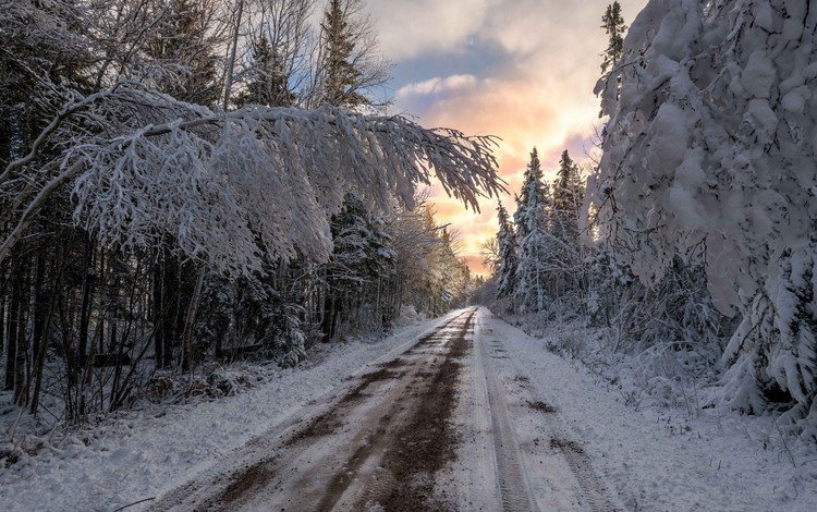 дорога, облака, деревья, снег, природа, лес, зима, ветки, road, clouds, trees, snow, nature, forest, winter, branches