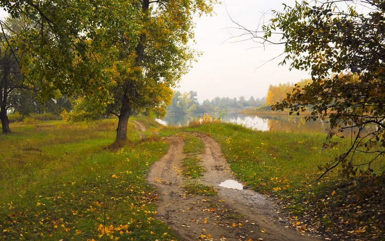 дорога, природа, пейзаж, осень, road, nature, landscape, autumn