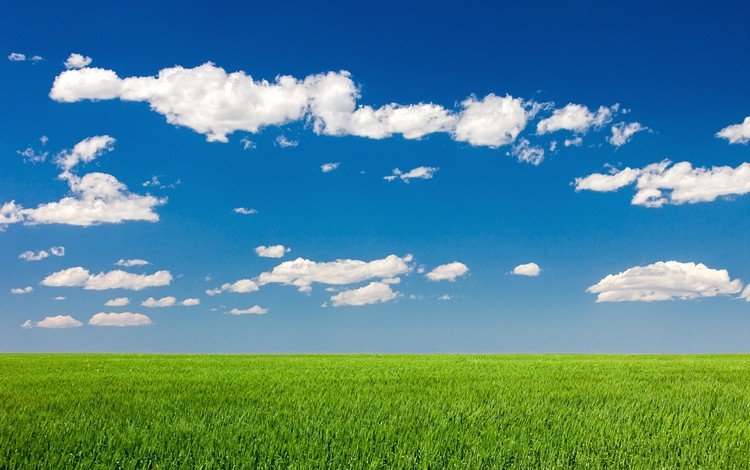 небо, облака, природа, пейзаж, поле, лето, the sky, clouds, nature, landscape, field, summer