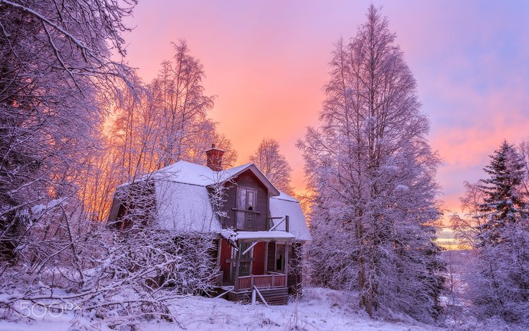 деревья, снег, природа, лес, зима, дом, geert weggen, trees, snow, nature, forest, winter, house