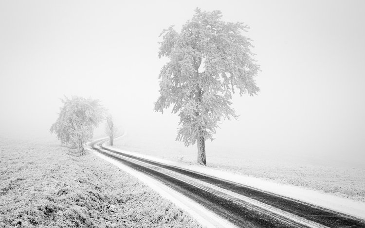 дорога, чёрно-белое, деревья, tom vocelka, снег, природа, зима, пейзаж, туман, иней, road, black and white, trees, snow, nature, winter, landscape, fog, frost
