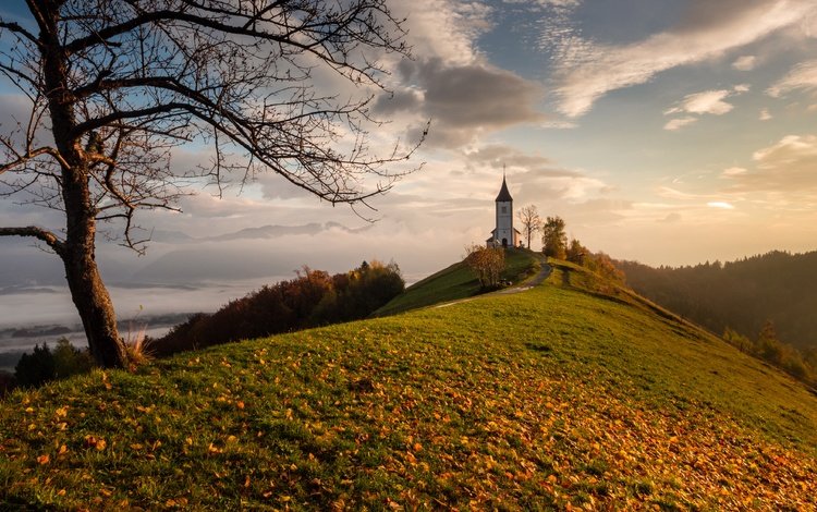 дерево, листья, осень, церковь, холм, словения, tree, leaves, autumn, church, hill, slovenia