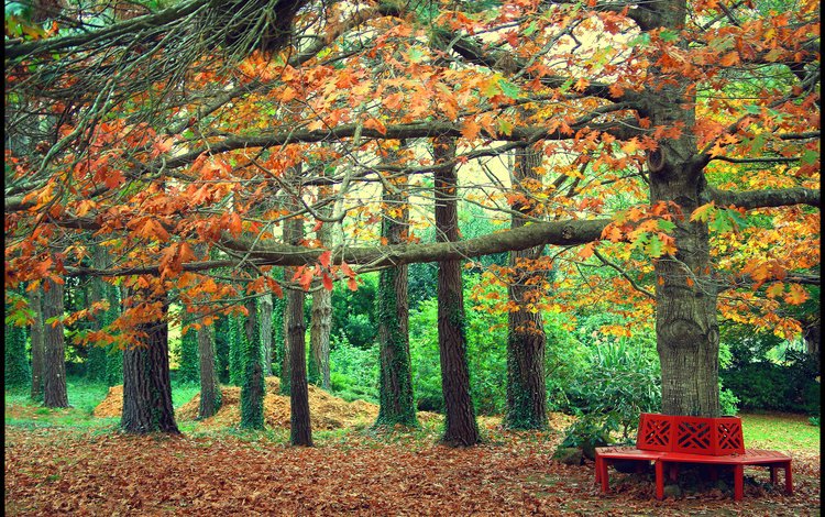 деревья, листья, парк, осень, скамейка, trees, leaves, park, autumn, bench