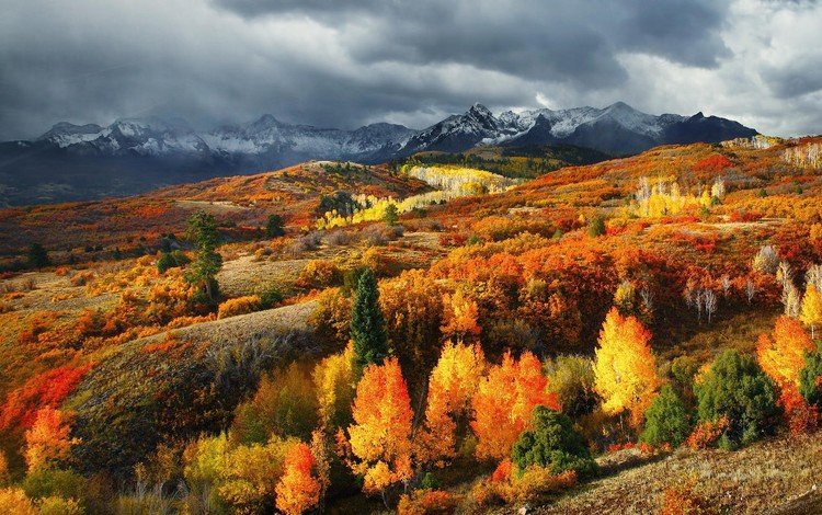деревья, горы, лес, листья, осень, сша, колорадо, trees, mountains, forest, leaves, autumn, usa, colorado
