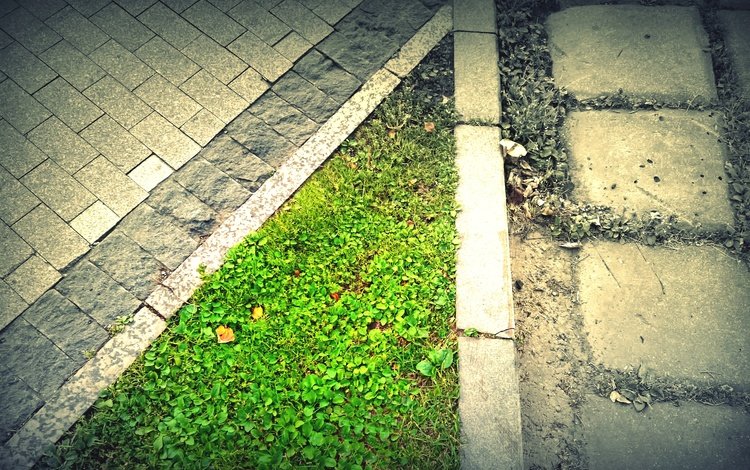 трава, стиль, город, плитка, бордюр, тратуар, grass, style, the city, tile, border, the sidewalk