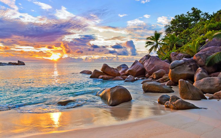 закат, море, пляж, остров, тропики, сейшелы, sunset, sea, beach, island, tropics, seychelles