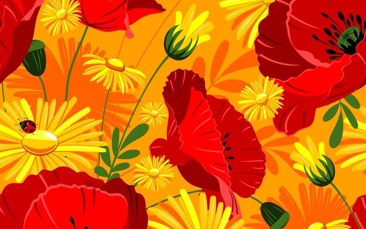 цветы, маки, яркие, красных, жёлтых, и, ноготки, flowers, maki, bright, red, yellow, and, marigolds