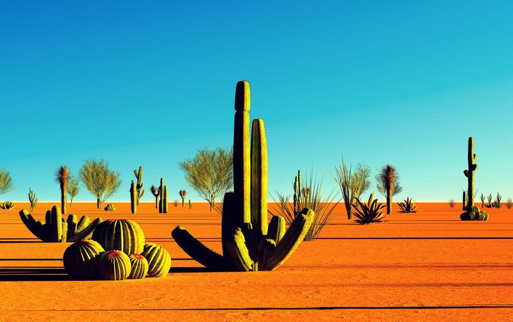 пейзаж, песок, пустыня, калифорния, кактусы, landscape, sand, desert, ca, cacti