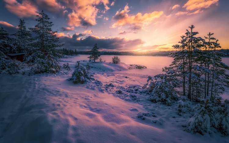 небо, облака, ночь, деревья, снег, природа, зима, пейзаж, the sky, clouds, night, trees, snow, nature, winter, landscape