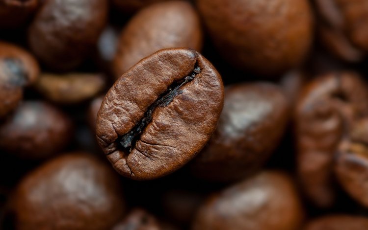 макро, зерна, кофе, кофейные зерна, крупным планом, macro, grain, coffee, coffee beans, closeup