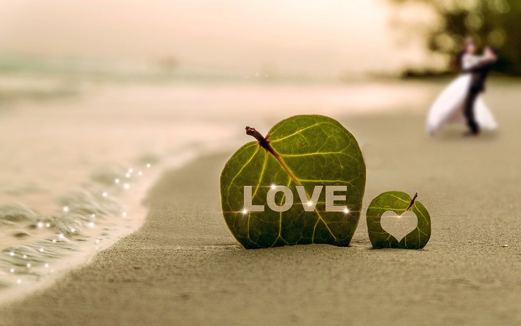 листья, море, песок, пляж, пара, листочек, влюбленная, leaves, sea, sand, beach, pair, leaf, love