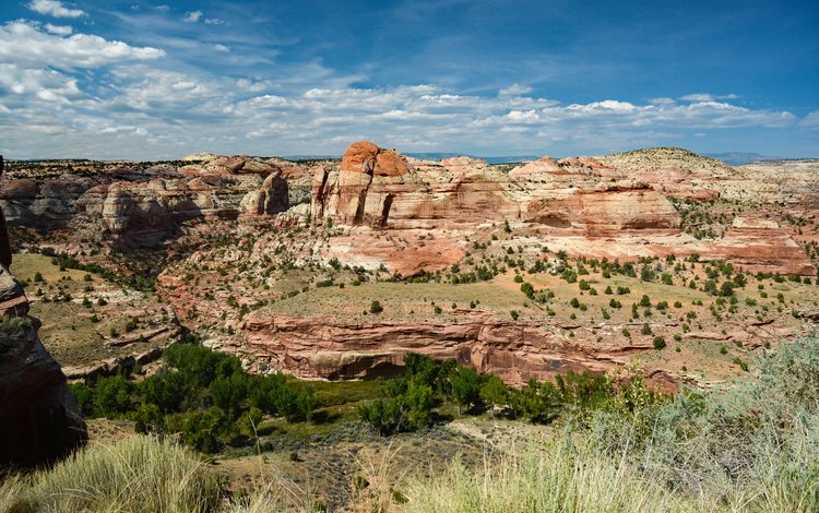 скалы, пейзаж, пустыня, каньон, юта, scgerding, rocks, landscape, desert, canyon, utah