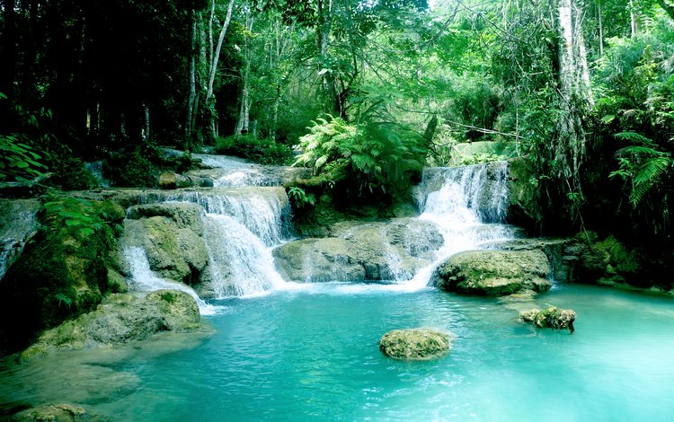 река, природа, лес, водопад, river, nature, forest, waterfall