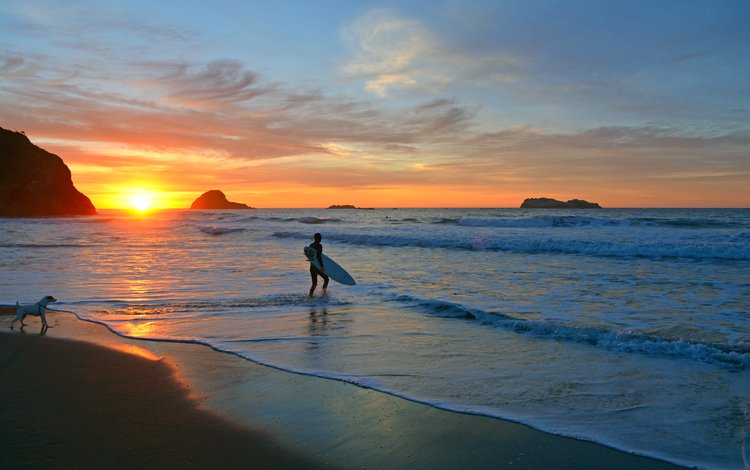 закат, море, пляж, собака, сёрфер, sunset, sea, beach, dog, surfer
