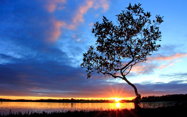 озеро, дерево, закат, 9, lake, tree, sunset