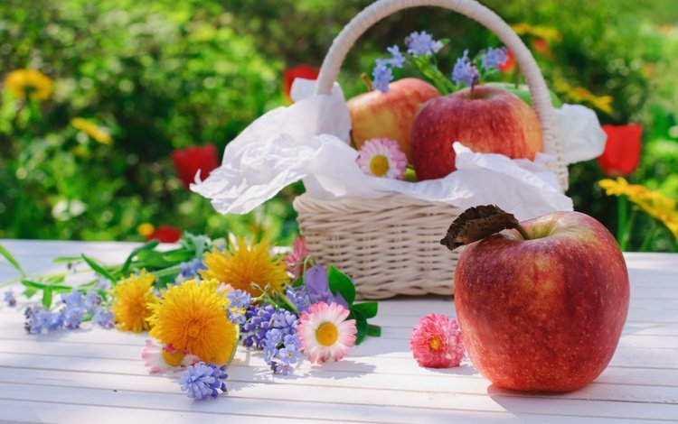 цветы, фрукты, яблоки, корзинка, натюрморт, flowers, fruit, apples, basket, still life