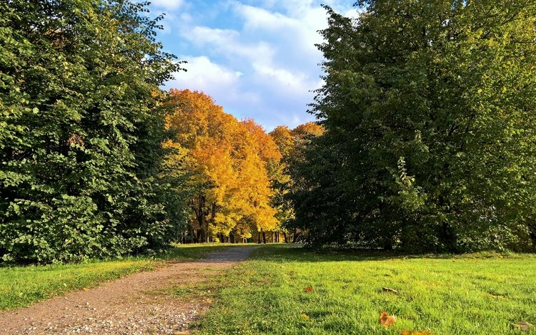 деревья, парк, дорожка, листва, осень, лужайка, золотая осень, trees, park, track, foliage, autumn, lawn, golden autumn