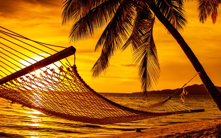 закат, море, пляж, гамак, тропики, sunset, sea, beach, hammock, tropics